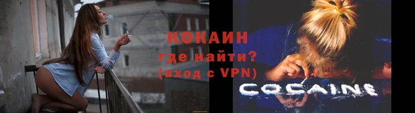 ПСИЛОЦИБИНОВЫЕ ГРИБЫ Осташков