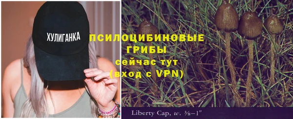 спайс Пестово