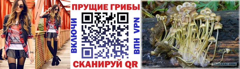 Псилоцибиновые грибы мухоморы  продажа наркотиков  Ак-Довурак 